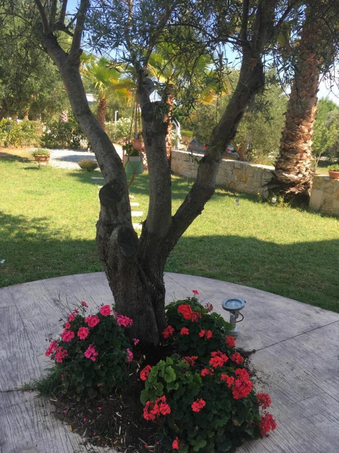 Villa Evita , Athytos Wonderful ,63M2,A/C Afytos Bagian luar foto